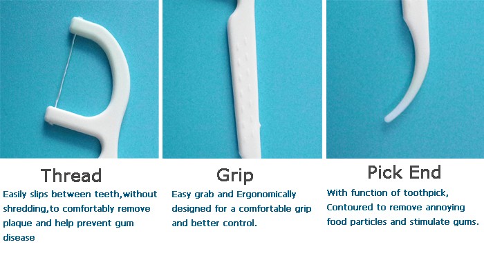 features of plastic dental floss pick